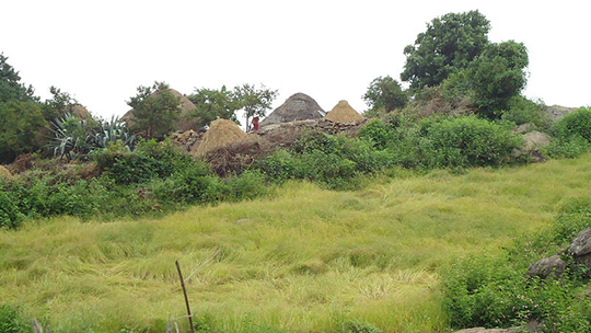 jawadhu-hills jawadhu-hills